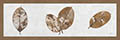 Image Not Available